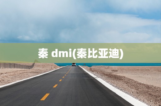 秦 dmi(秦比亚迪)