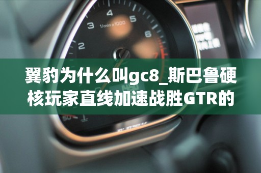 翼豹为什么叫gc8_斯巴鲁硬核玩家直线加速战胜GTR的翼豹出自退役运动员之手